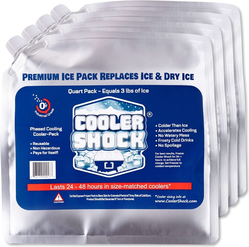 Cooler Shock Reusable Ice Pack (Set of 5)